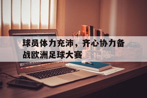 开云体育登录-球员体力充沛，齐心协力备战欧洲足球大赛的简单介绍