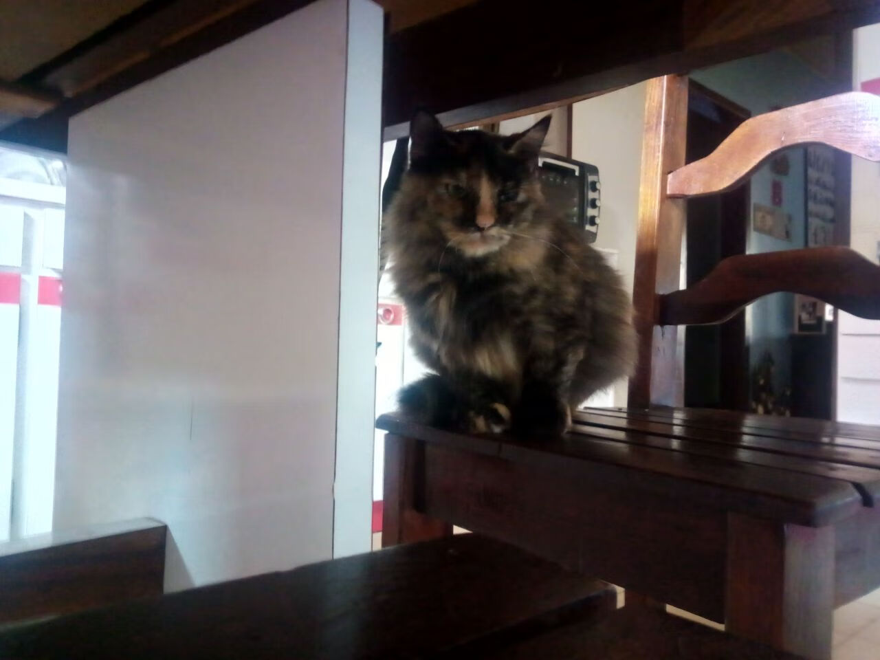 迪亚斯闪耀全场助韩国爆冷击败比利时，亚洲之光再创奇迹