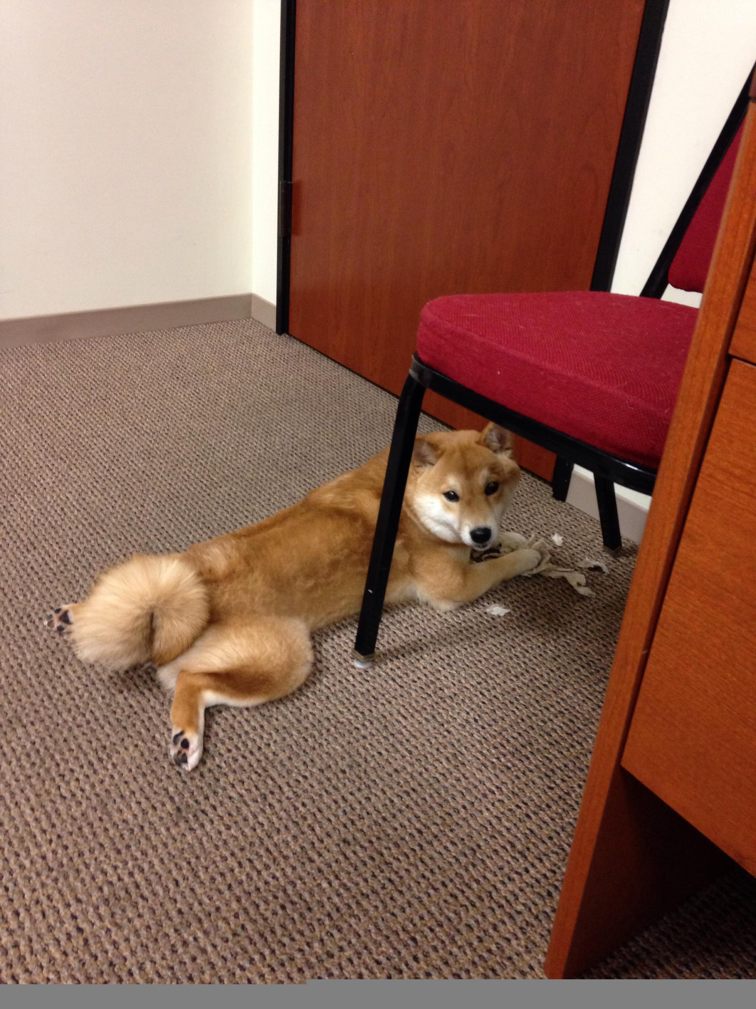 那不勒斯碾压毕尔巴鄂,莱万主宰世界排名之争