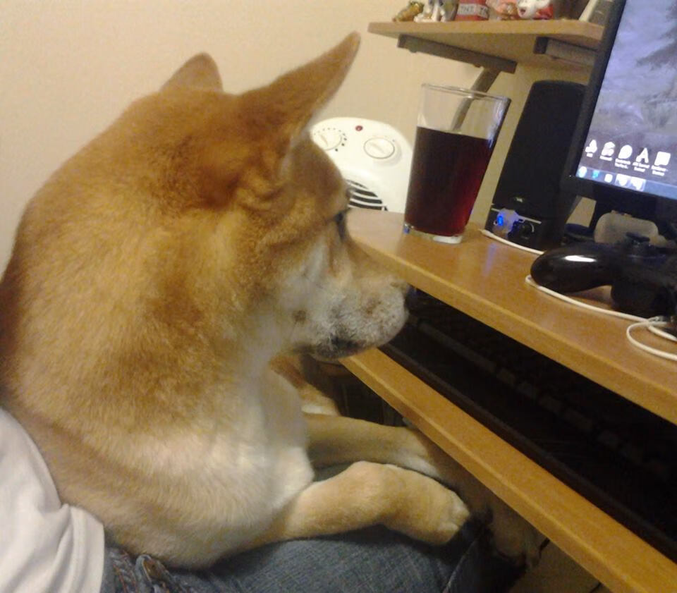 开云APP-暗流中的主宰者，年度焦点之战，坎特如何统治了无形战场