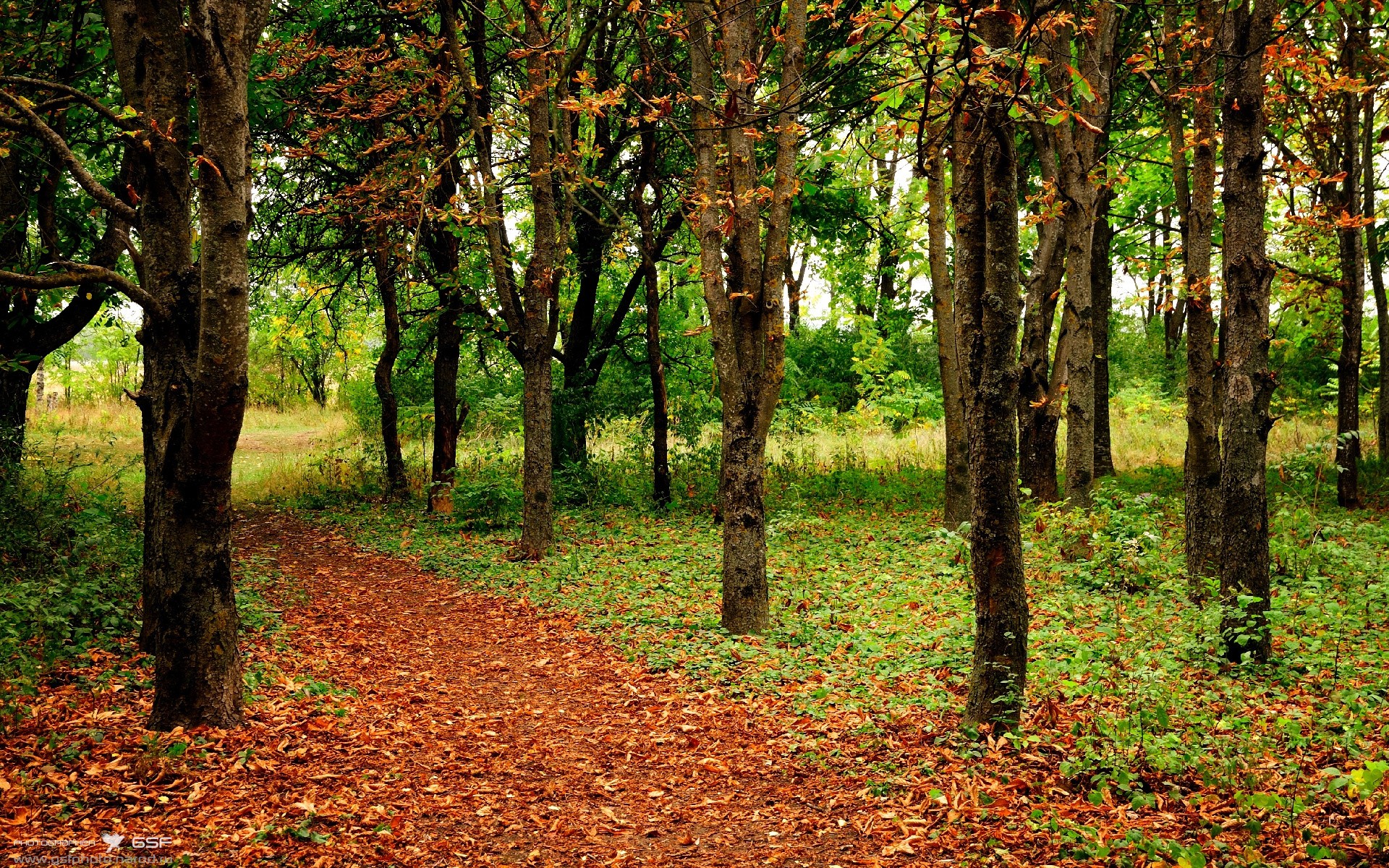 巴黎之殇，爆裂无声，奥利维耶的觉醒与红军火力网的窒息统治