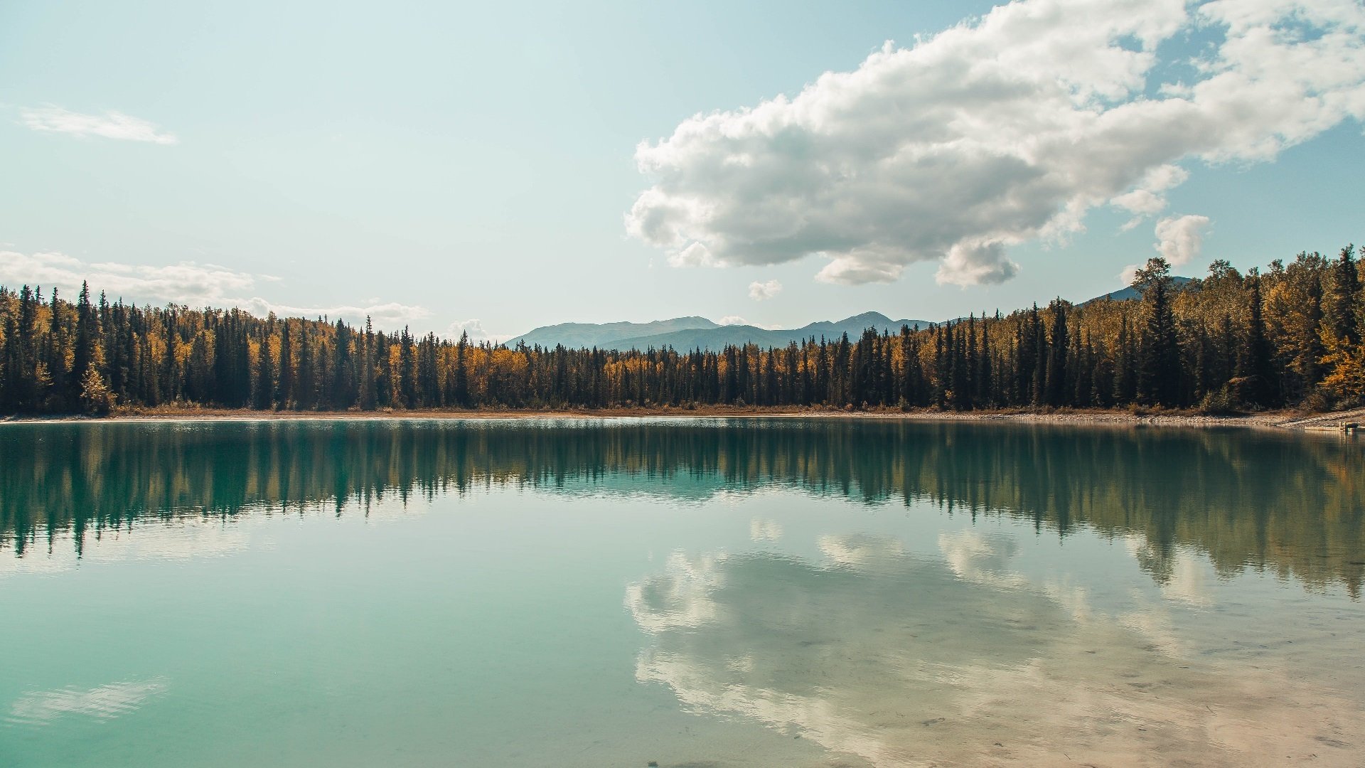 涅槃！莫兰特决胜局狂飙终结悬念，灰熊撕裂老鹰展露獠牙