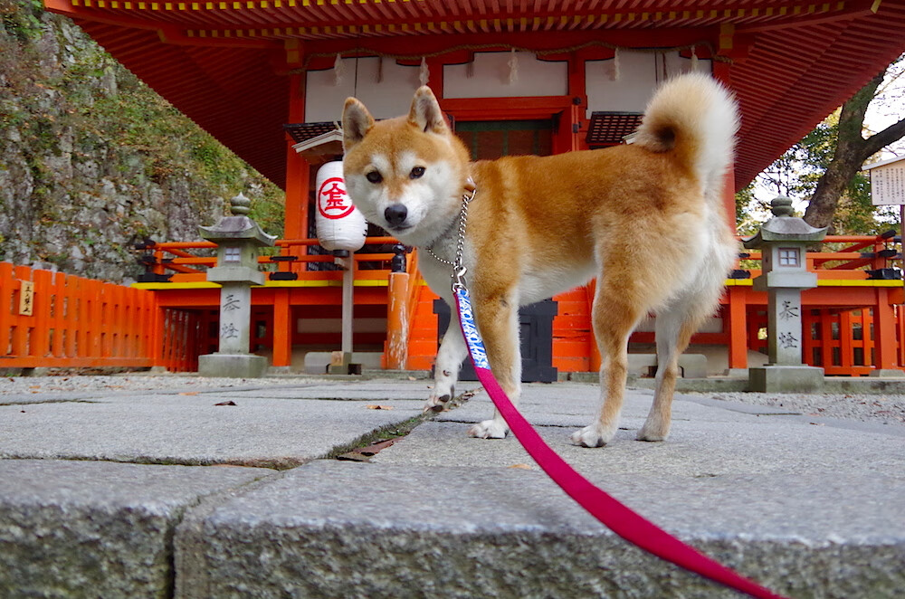 同是英格拉姆，他却在欧冠半决赛接管了比赛