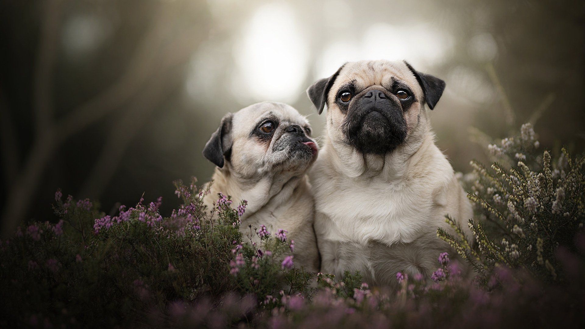 开云官网-欧冠决赛之夜，当绿茵场迎来伦纳德时刻