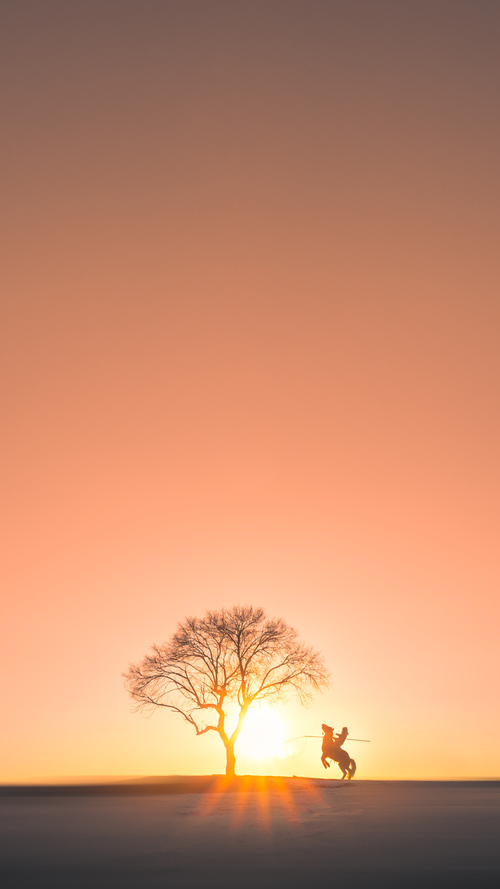 绝境长城！戈贝尔擎天防守主导加时鏖战，篮网惊险过关