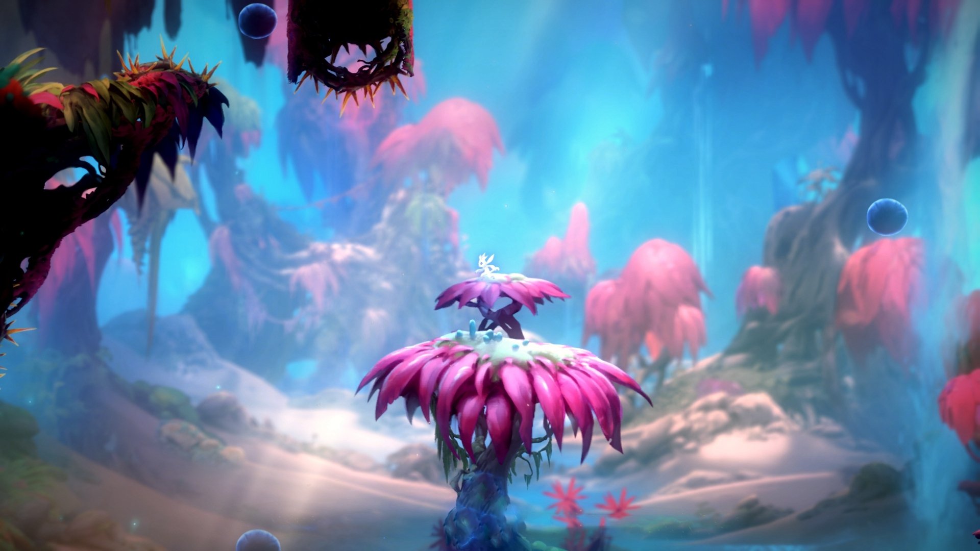 黄蜂新王当立，拉梅洛·鲍尔一役封神，导演惊天逆转踏平雷霆！