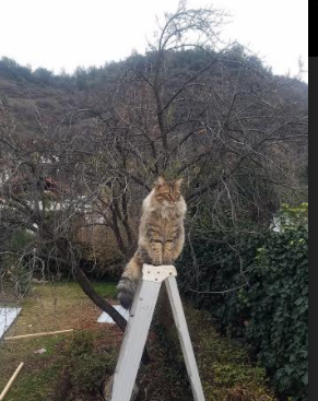 当世界杯遇见CBA,热火节奏如何掌控深圳队的启示