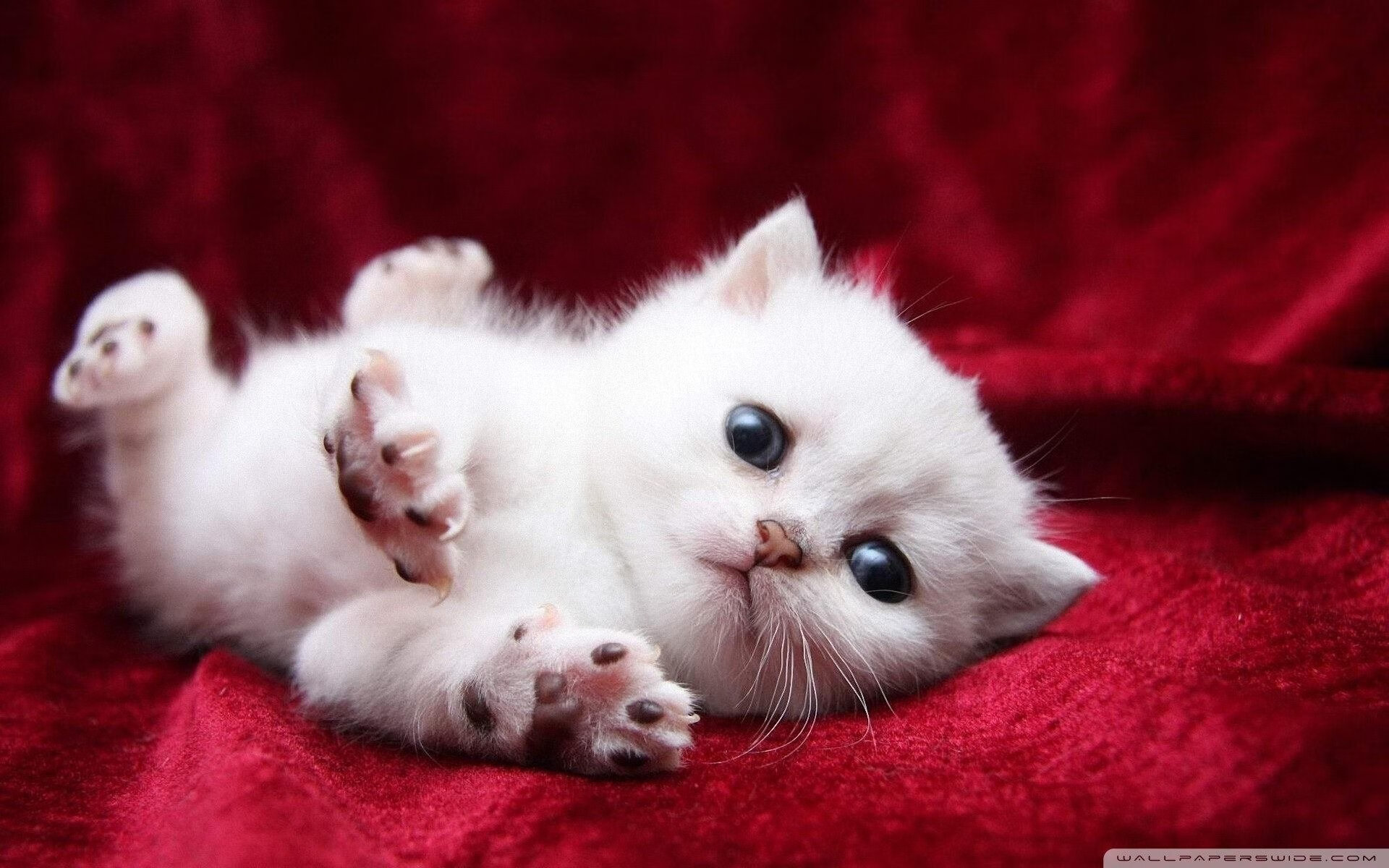 钢铁对决，热火逆转灰熊的年度焦点之战